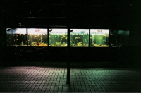 25_where03.jpg