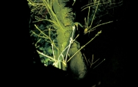 25_where07.jpg