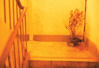25_where19.jpg