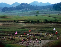2006, 140cm×182cm,Inkjet print